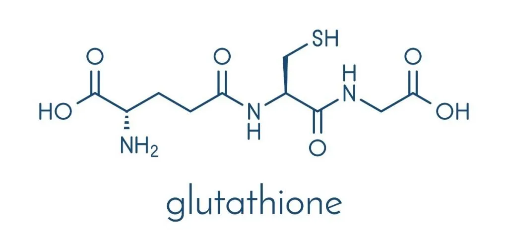 Glutathione-Glutathione-Levels